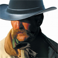 Vulcan Hard Hats